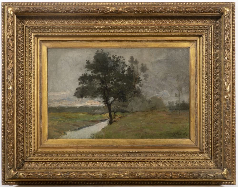 Studio di un albero con ruscello